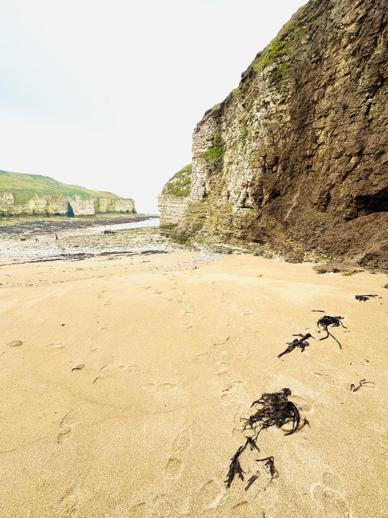 Dunlin Retreat Villa Flamborough Dış mekan fotoğraf